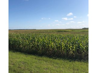 Steele County, North Dakota farmland - LAND AUCTION - 480+/- ACRES IN 3 TRACTS IN STEELE COUNTY, NORTH DAKOTA